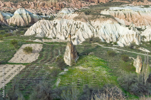 Obraz na płótnie Typical Cappadocia landscape soft volcanic rock, shaped by erosion in Goreme, Turkey. w salonie