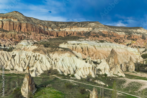 Obraz na płótnie Typical Cappadocia landscape soft volcanic rock, shaped by erosion in Goreme, Turkey. w salonie