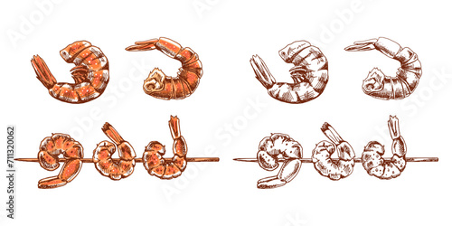Organic food. Hand-drawn colored and monochrome vector sketch of cooked shrimps. Doodle vintage illustration. Decorations for the menu. Engraved image.