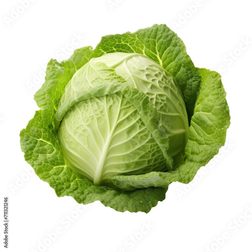 fresh green open cabbage, leafy vegetable ,isolated on a transparent background. PNG cutout or clipping path. 