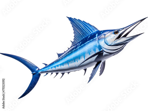 fish isolated on white © TONSTOCK