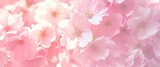 pink and white background full of pink flowers flowers