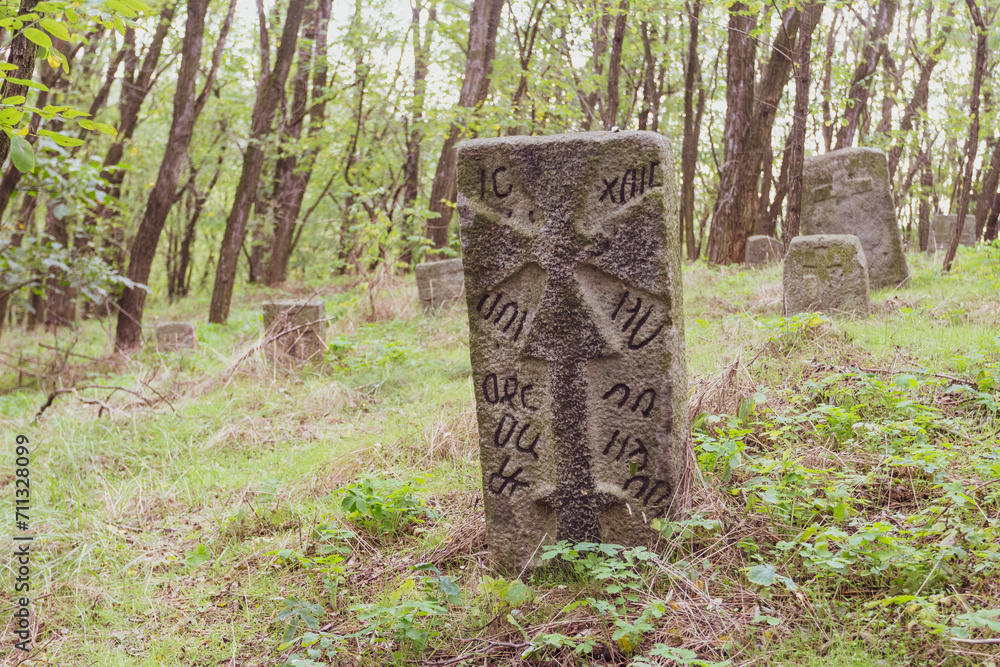 Ancient gravestones in an abandoned cemetery on the Trakhtemyriv Peninsula. Ukraine
