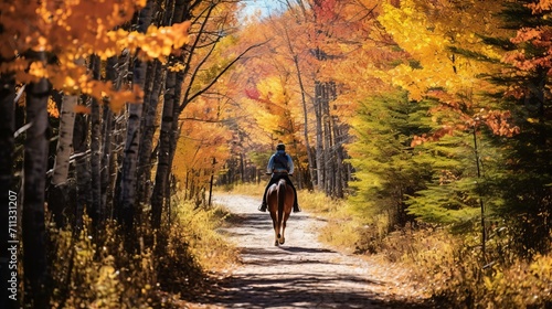 Scenic shots of a horseback rider navigating through a trail surrounded by colorful autumn foliage,