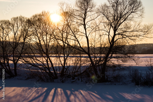 Winter nature at a beautiful sunset with trees on the shore of a pond