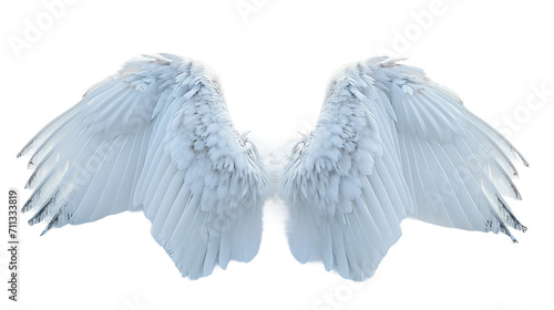 Snow Angel Wings On Transparent Background