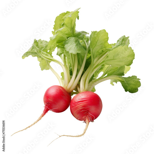 radish isolated on transparent background