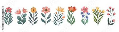 Set of floral summer watercolor minimalist flowers branch