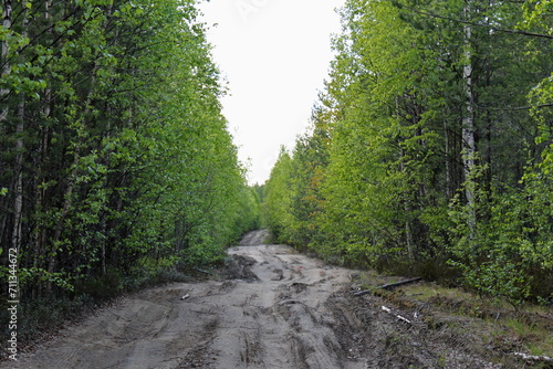 A road in the forest leading to the horizon. Republic of Karelia. Russia.