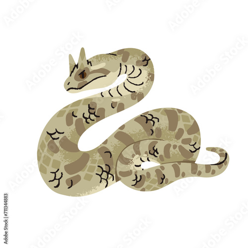 Saharan or desert horned viper. African venomous snake with sandy color of scale. Exotic poisonous serpent with horns on head. Sahara fauna, animal, reptile. Flat isolated vector illustration on white
