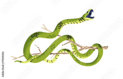Western green mamba attacks. Venomous slender snake on tree branch. Dangerous exotic serpent with open mouth. Tropical reptile of African rainforest. Flat isolated vector illustration on white