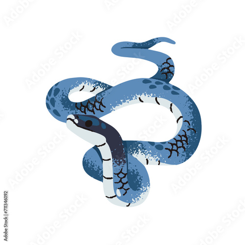 Blue racer snake. Exotic serpent with bright scale. Tropical colored boa. Rainforest fauna, savanna reptile, animal of terrarium. Tree viper. Flat isolated vector illustration on white background