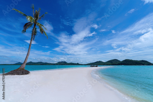 Beach with palm trees