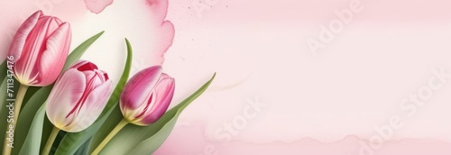 pastel tulips watercolor background. tulips space for text #711347476