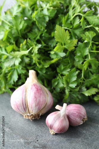 Fresh raw garlic and parsley on grey table, closeup