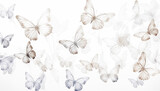 Elegant Butterflies on White Background, butterflie texture bg