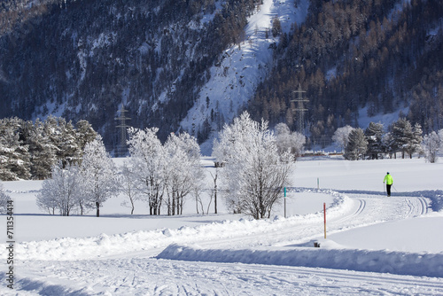 Winter landscape with frozen trees and cross-country ski tracks in Alps mountains