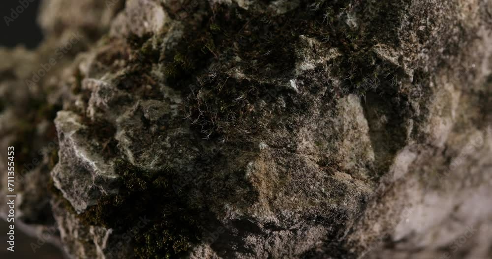 Stone texture close-up. Macro shot of a rock with green moss. Dark cracked mineral. High quality 4k footage Stone texture close-up. Macro shot of a rock with green moss. Dark cracked mineral. High quality 4k footage