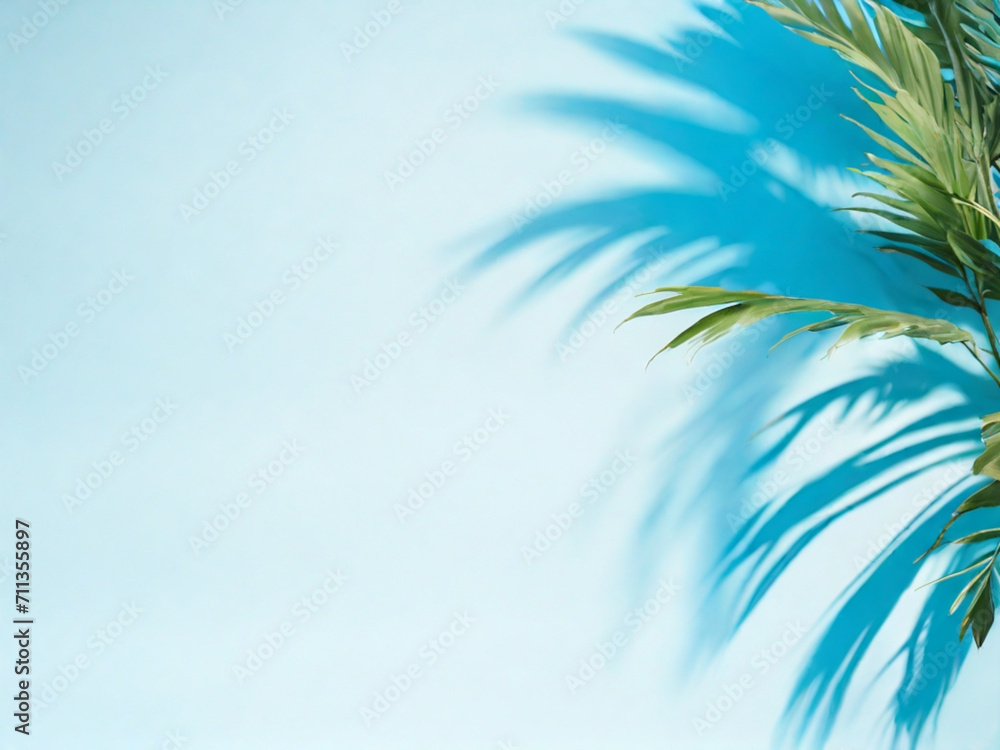 Palm leaves on a light bluegreen background toned template for text panorama with copy space 