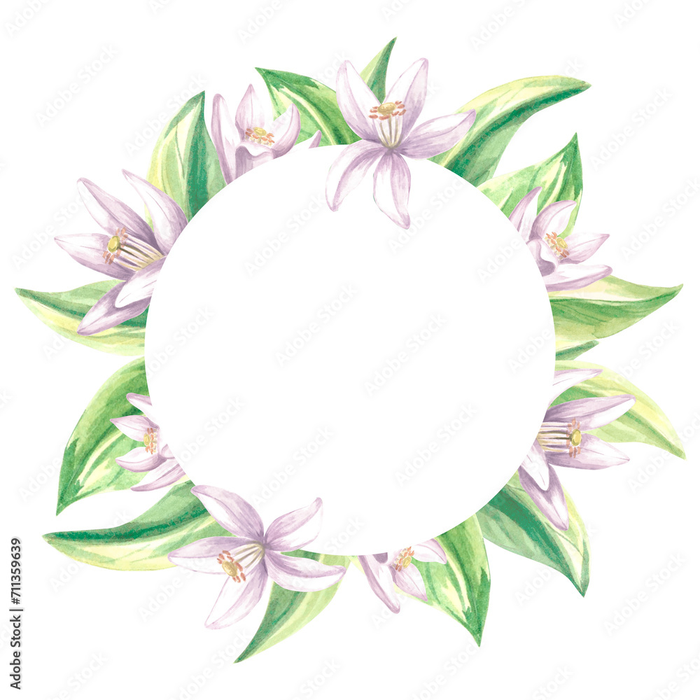 Round frame of citrus green leaves and white flowers. Summer botanical template with copy space. Isolated hand drawn illustration for cards and invitation, making stickers, print packaging, textile Round frame of citrus green leaves and white flowers. Summer botanical template with copy space. Isolated hand drawn illustration for cards and invitation, making stickers, print packaging, textile