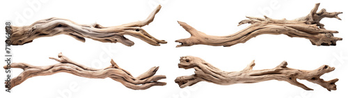 Set of driftwoods, cut out
