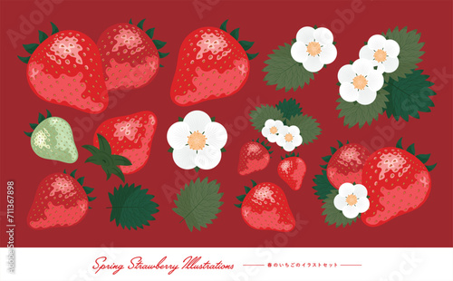 いちごの果実や苺の花・イチゴの葉を描いたベクターイラスト・アイコンのセット素材