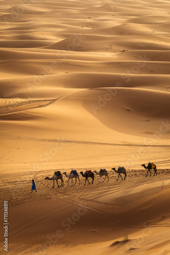 Camel caravan between beautiful dunes of desert in Sahara, Merzouga, Morocco