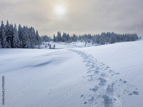 tranquil snowy winter landscape in the Bregenz forest Mountains, Vorarlberg, Austria © Uwe