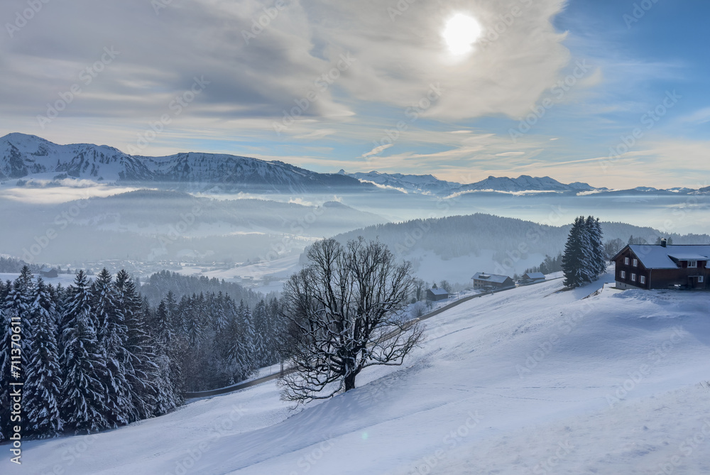 Obraz premium tranquil snowy winter landscape in the Bregenz forest Mountains, Vorarlberg, Austria