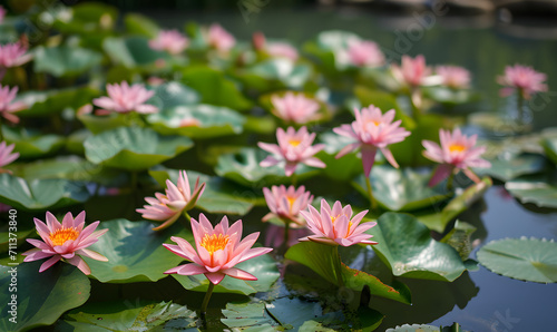 pond with lotus flowers  Generative AI
