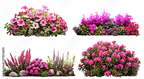 Set of garden flowers, cut out