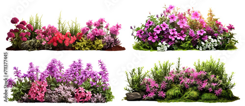 Set of garden flowers, cut out photo