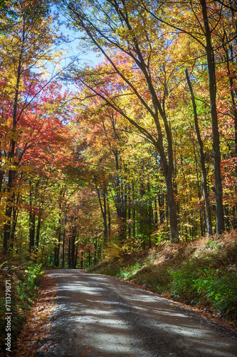 Road through Allegheny National Forest in Pennsylvania © Zack Frank