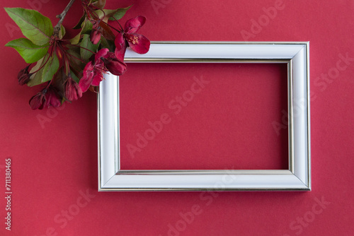 Mother's and Women's Day concept. Top view photo of photo frame and a branch of burgundy flowers of paradise apples on wine background with empty space
