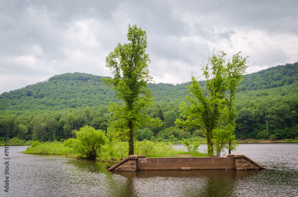 Fototapeta premium Allegheny National Forest Overlook of the Allegheny River in Pennsylvania