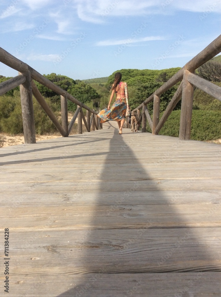 Obraz premium wooden bridge over the river