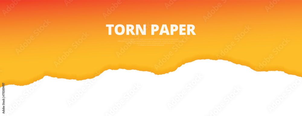 Torn paper ripped orange color edges, empty, blank, sheets web long banner design vector illustration