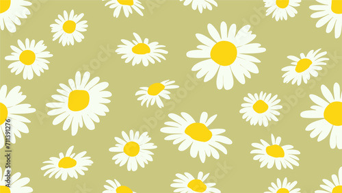 Fototapeta Naklejka Na Ścianę i Meble -  daisy pattern background, daisy vector background, seamless pattern decorated with daisy flower vector illustration background