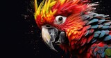an abstract colorful parrot cockatoo on a black background with paint splashes