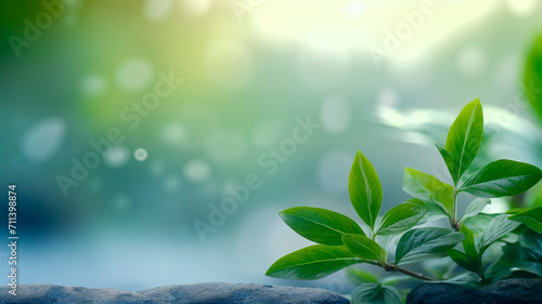 Green leaves and blurred forest background. 