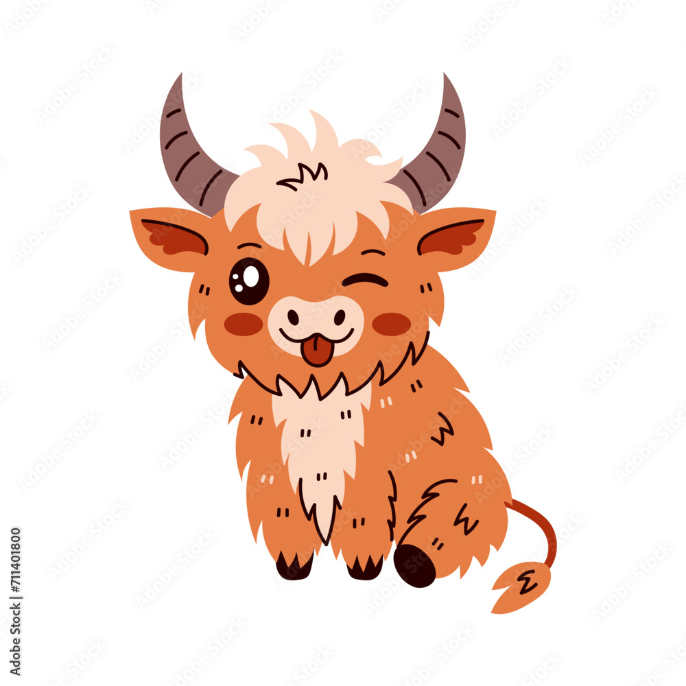 Funny Highland Cattle Cow. Cute farm baby animal with horns sitting, winks and shows tongue. Scottish shaggy breed. Vector illustration