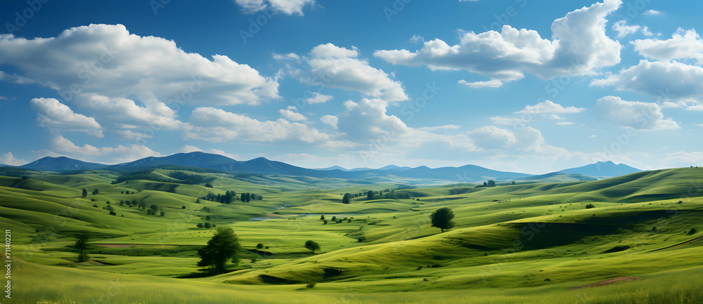 Beautiful view, landscape of green plain, trees, mountains and grass