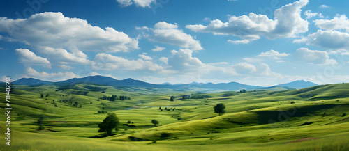 Beautiful view, landscape of green plain, trees, mountains and grass