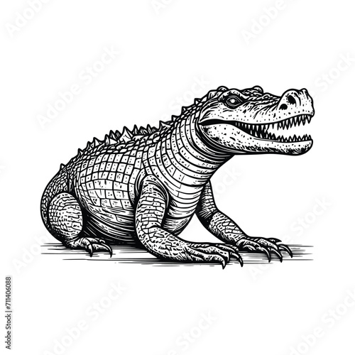 Crocodile wild animal vector EPS