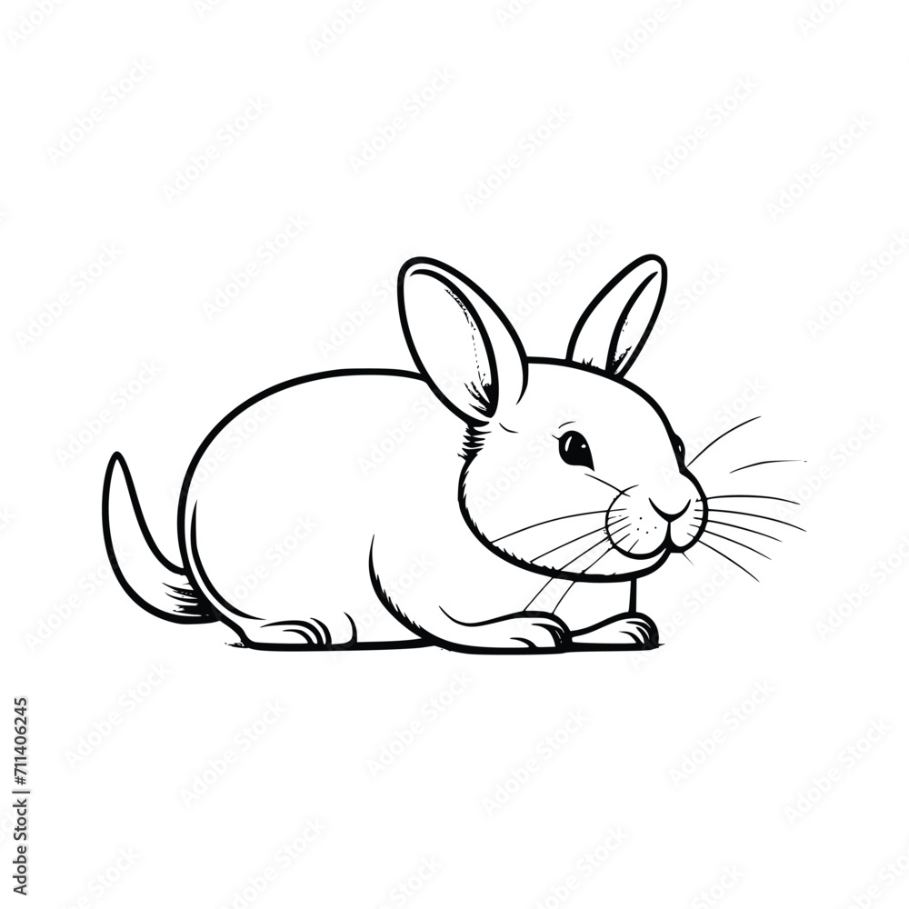 Fototapeta premium Chinchilla wild animal icon vector EPS