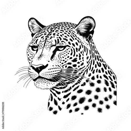 Jaguar wild animal vector EPS