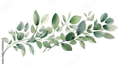 Herbal leaves frame in watercolor style. Leaves illustration cut out photo
