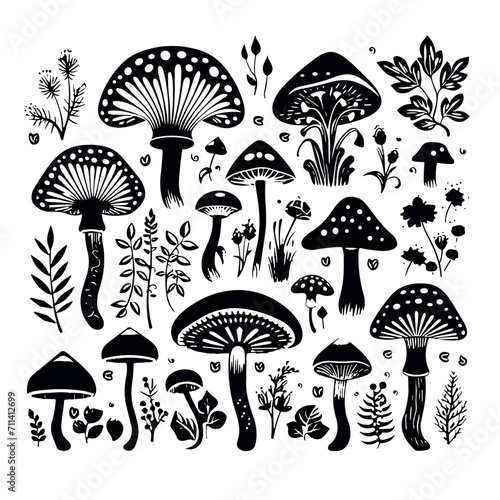 mushroom svg, mushroom png, mushroom illustration, mushroom vector, mushroom, mushroom clipart, jungle svg, forest, t shirt ,mushroom, fungus, nature, vector, food, illustration, autumn, isolated, for