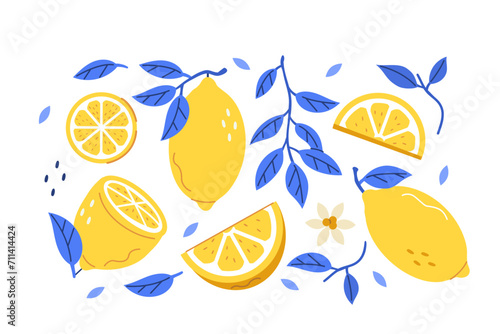 
Lemons set. Whole, half, sliced citrus fruit with branch and leaves for patterns, prints and product design. Hand drawn vector illustration isolated on white background. photo