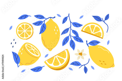 
Lemons set. Whole, half, sliced citrus fruit with branch and leaves for patterns, prints and product design. Hand drawn vector illustration isolated on white background.